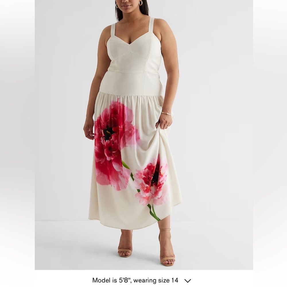 Express Floral V-Neck Corset Midi Dress